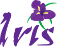 Online E-file Provider